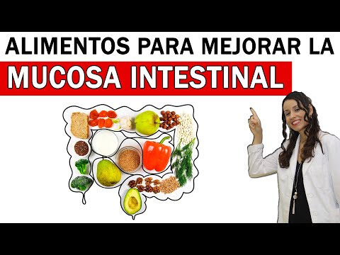 Video: Probióticos: si tiene un intestino feliz, no tire los ahorros que tanto le costó ganar