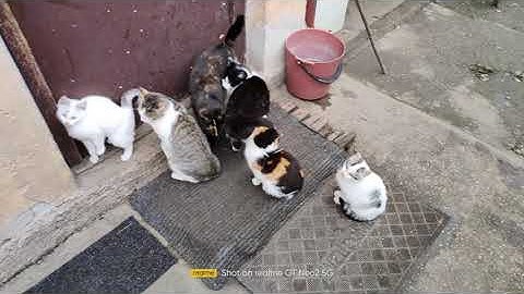 Realme GT Neo2 4k@60fps video test footage