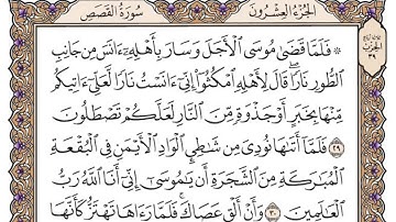 سورة القصص مكتوبة   محمد أيوب