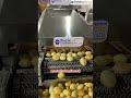Panipuri Making Machine | ये Machine 1 मिनट में बना देगी 100 पानीपुरी! 😱