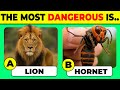 Animal Quiz Challenge – Can You Name Them All? ✅