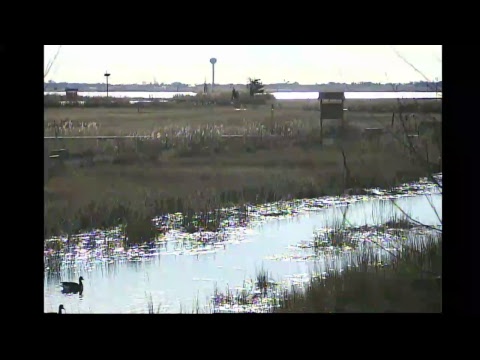 area of a trapezoid Marine Nature Study Area Live Stream