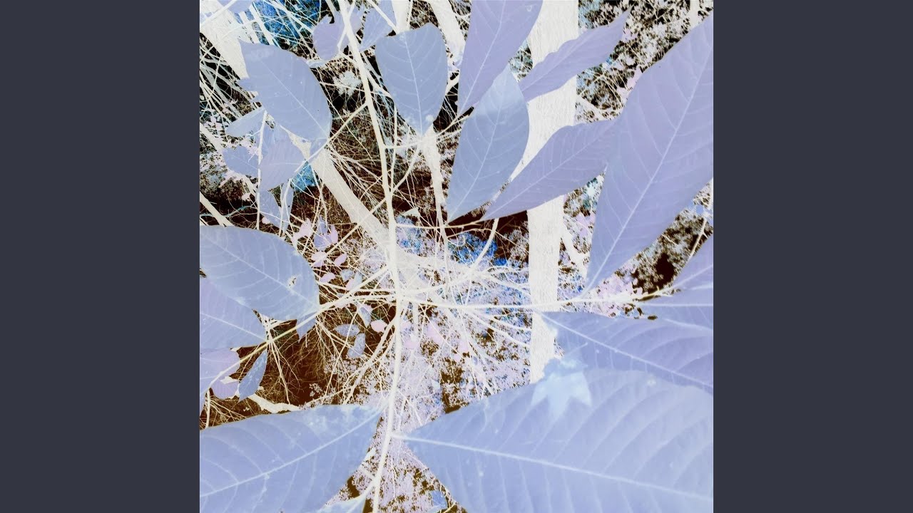 Watch Celestial Meeting on YouTube Watch Celestial Meeting on YouTube