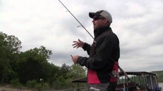 Advanced Shaky Head Tips