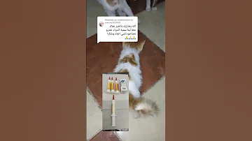 كمل الفيديو تعرف تريطمو لخدات زينة 