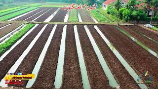 Surah Ankabut | Quran Chapter 29