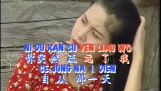 Ni Wei He Su Yen Wo | NI WE HE SU YEN WO KARAOKE NO VOCAL