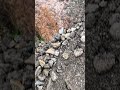 Looking for my next project