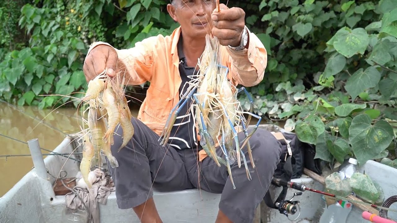MANCING UDANG DI SUNGAI LANGAT...BANYAK PLAK TU