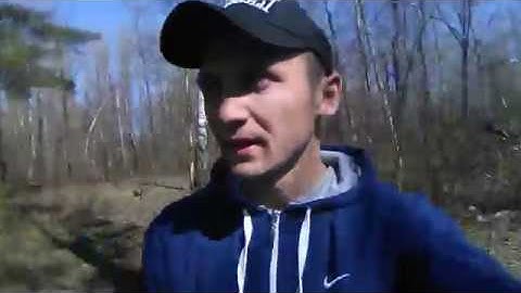 Свиньи в лесу,Массова душат березы,обращения ко всем