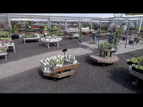 Churchill S Garden Center Exeter Nh Youtube