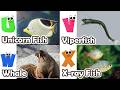 Cute ocean animals | ABC phonics animals | ABC Sea Animals song | English and Animals for Kids