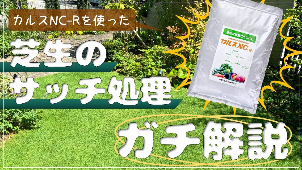 【簡単!?】カルスを使った芝生のサッチ処理方法をガチ解説！