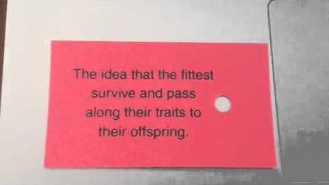 CC Cycle 3 week 23 science