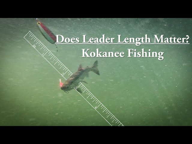 Kokanee Fishing: Does Leader Length Matter? 