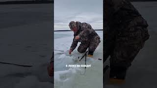 ОХОТА И РЫБАЛКА / ЗИМНЯЯ РЫБАЛКА / ЩУКА 5-6 кг  #fishing