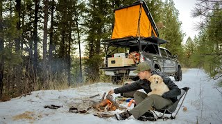 Best Truck Camping Gadgets