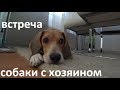 Трогательное видео /  Встреча с хозяином