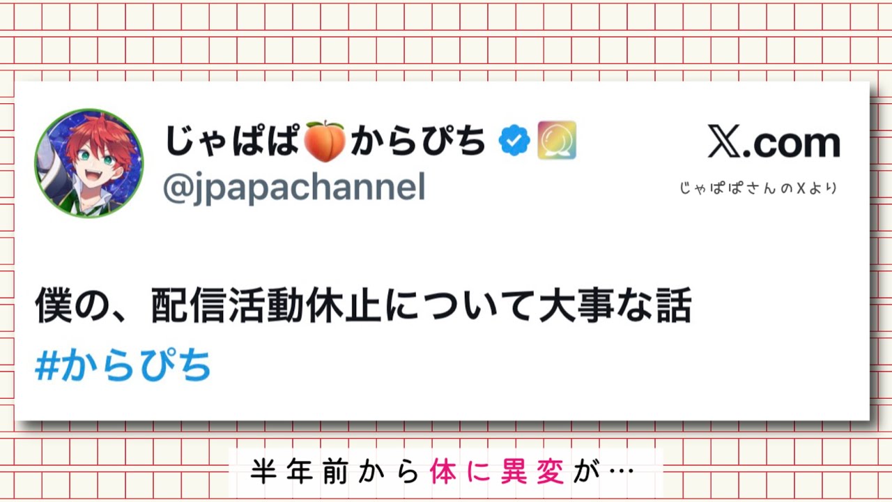 活動歴および当時の関連ビジュアル記録
