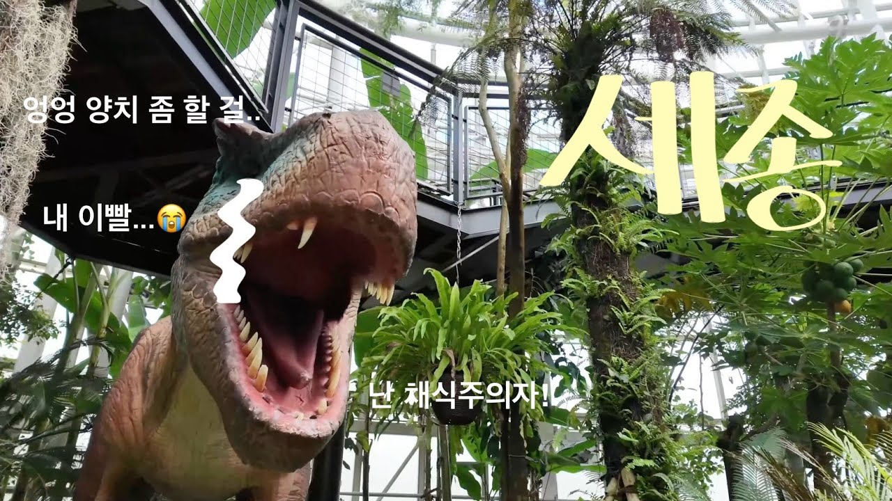 [세종] 국립세종수목원 늦가을 산책 브이로그🍂