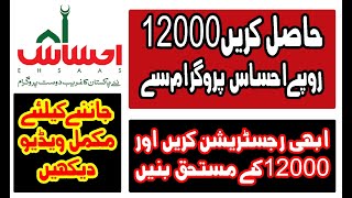 How to register in ehsaas program online screenshot 4