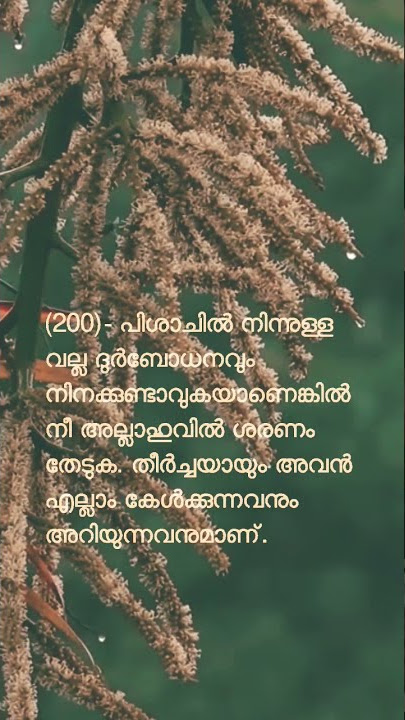 surat al a'raf.                        Ayat (200)