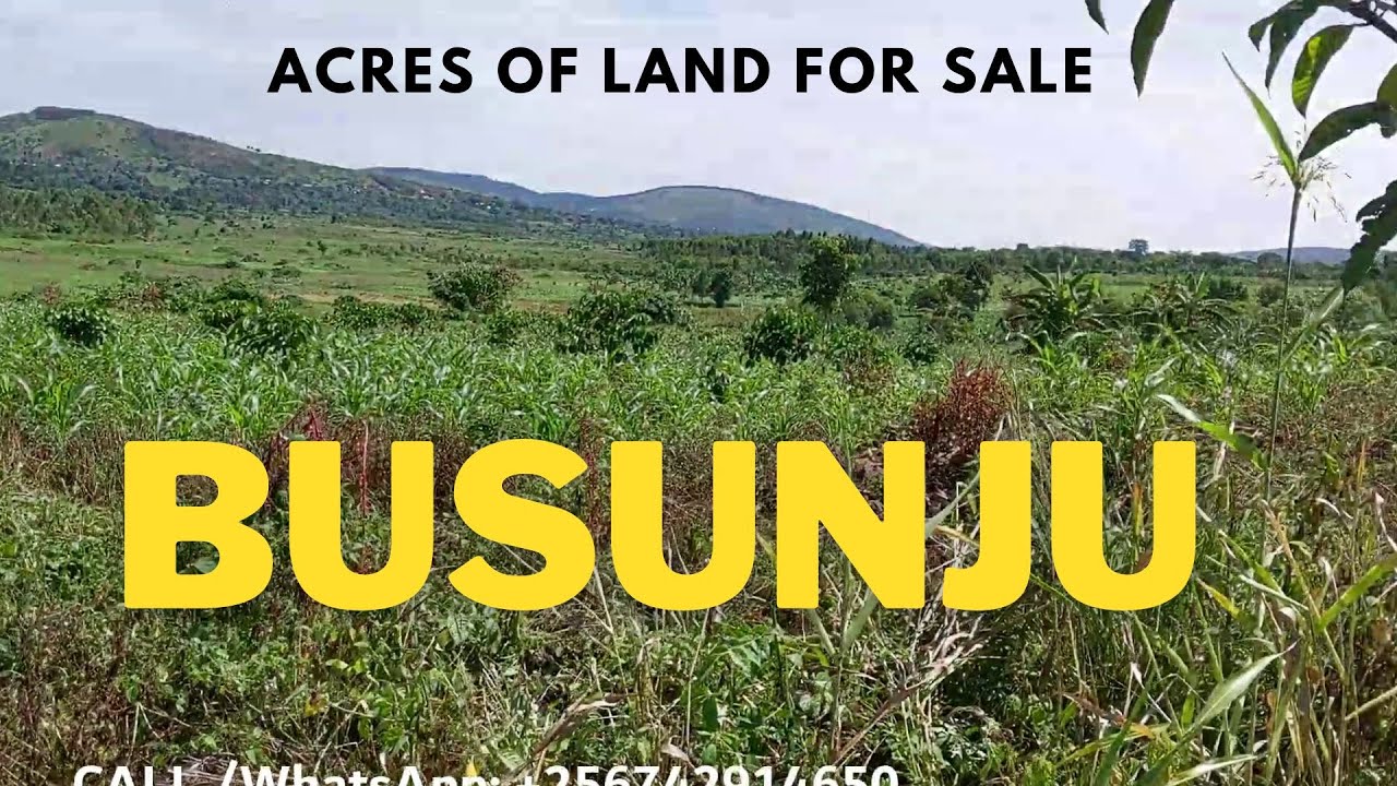 Abundant Properties Uganda | Acres Of Land For Sale In Busunjju, Ugx 25m Per Acre | Real Estate Uganda