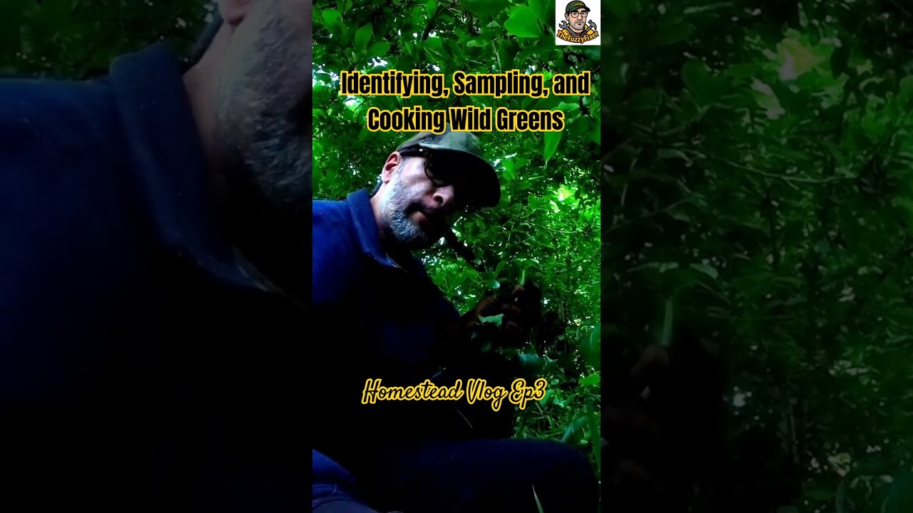 Wild Garden Forage: Nettles, Garlic & Forgotten Flavors 🌿 | Homestead Vlogs Ep. 3