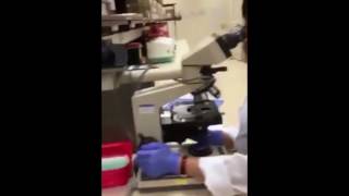Mannequin Challenge Clinical Laboratory