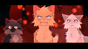 NO. 7 | TBC MAP  - Part 41 // COLLAB