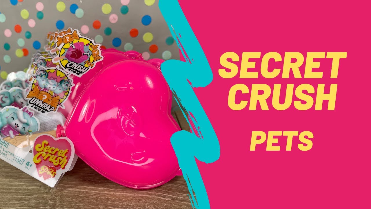 Secret Crush Pets Unboxing Toy Review | TadsToyReview