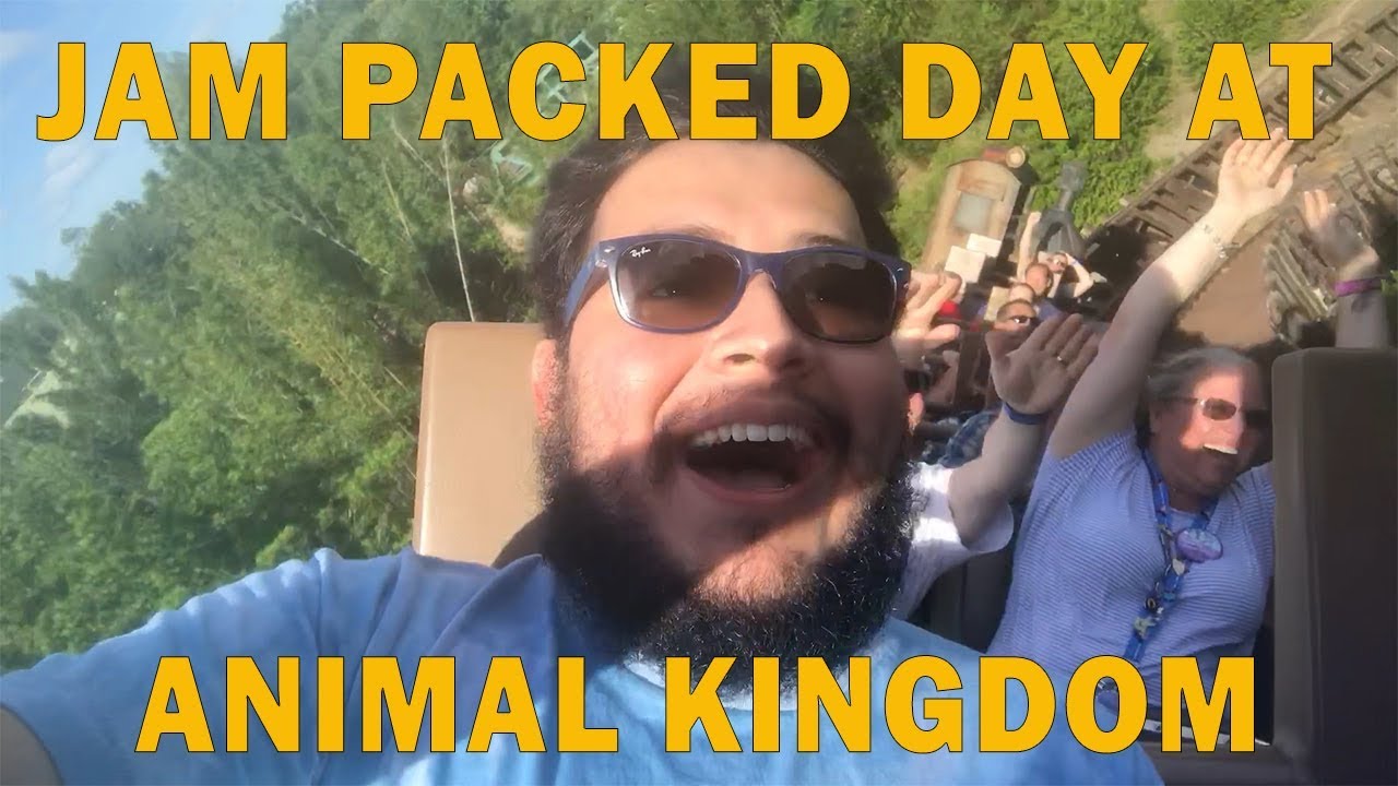 Jam Packed Day at Animal Kingdom Walt Disney World Vlog YouTube