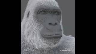 Gorilla | Groom
