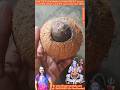 Third EYE of Lord SHIVA SHIVA'S one EYE coconut Lord SHIVA himself is one EYE coconut feel SHIVA.