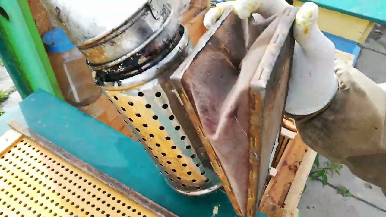 Jak tam z miodem? Odkład ze starą matką i duuuży błąd podczas  pracy.