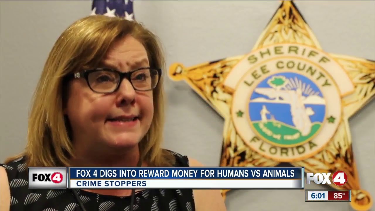Digging into reward money for humans versus animals - YouTube