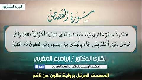 28- القصص .. برواية قالون عن نافع .. القارئ د. إبراهيم المغربي