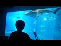 動画できるまでやります
