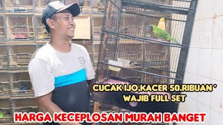 HARGA KECEPLOSAN MURAH BANGET