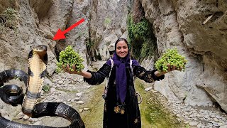 Nomadic Life: A nomadic mother's effort to prepare food in the mountains.