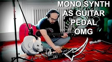 Arturia MiniBrute 2S & Acoustic Guitar Jam - with XVive Memory analog delay pedal