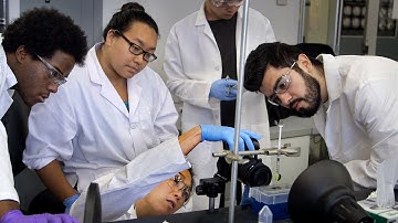 Discovering the Micro/Nano World