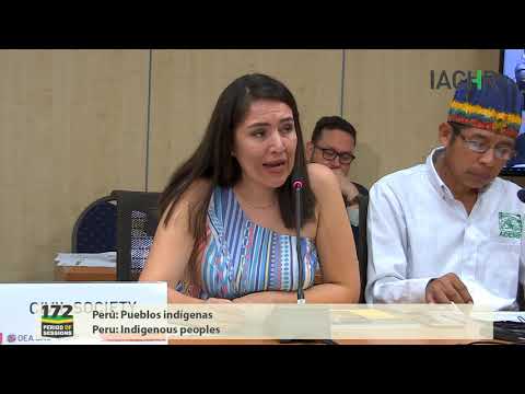 Derechos humanos de los pueblos indgenas y la situacin de aislamiento en la Amazonia Peruana 