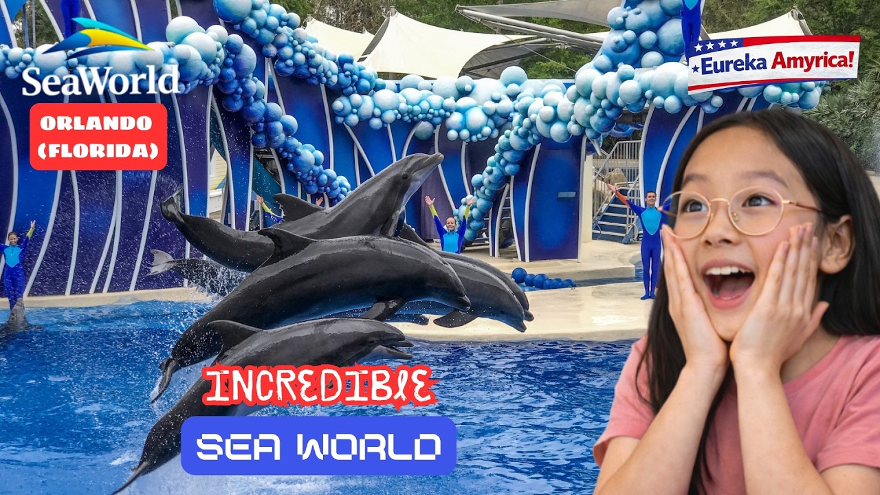 🐬✨ An amazing day at SeaWorld Orlando 🌊🐋