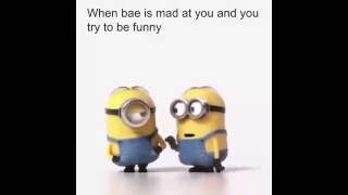 When bae is mad at you And you try to be Funny Profile