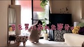 病気がいやならわきの下をもみなさい Youtube