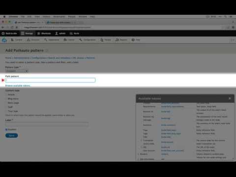 155. How to configure a pattern in Pathauto to automatically generate URL aliases for new content