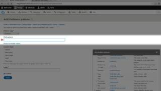 155. How to configure a pattern in Pathauto to automatically generate URL aliases for new content