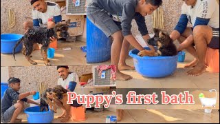 German shepherd puppy #puppy’s first bath 🛀 🥰🥰