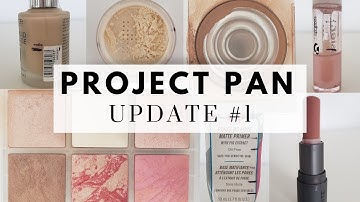 project pan check-in #1 // project pan update 1// makeup im using up